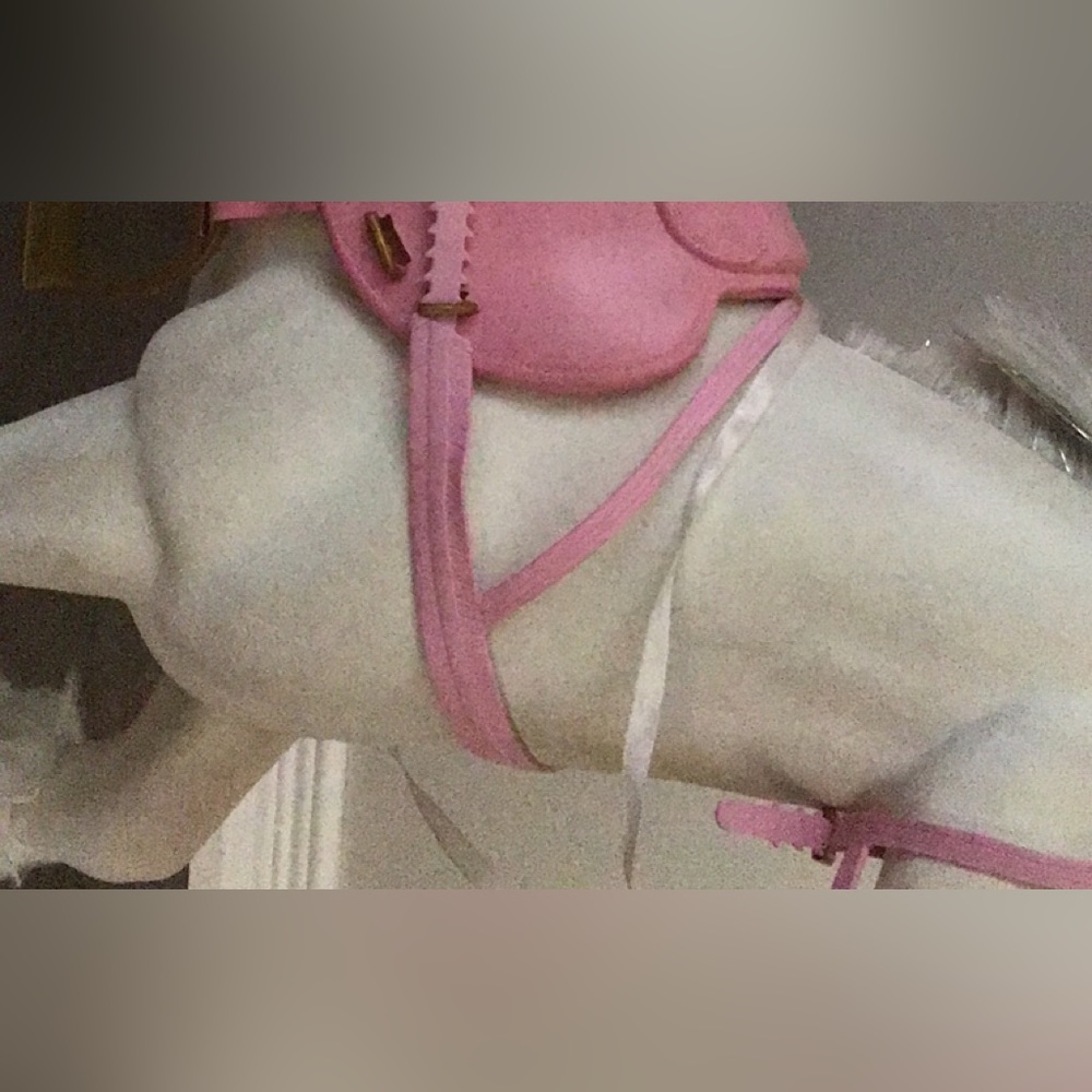 Our generation horse with accessories